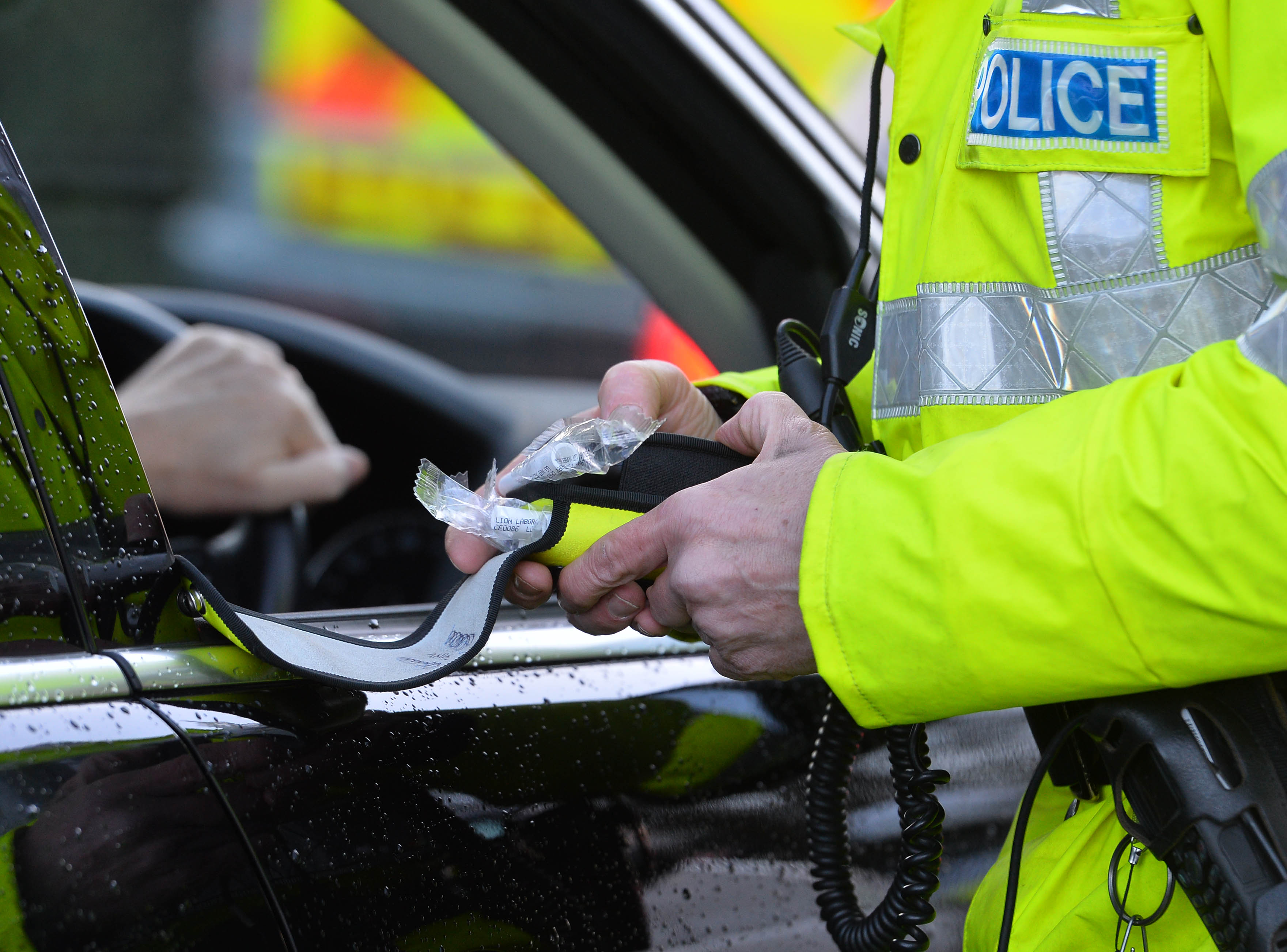 Image for What we do