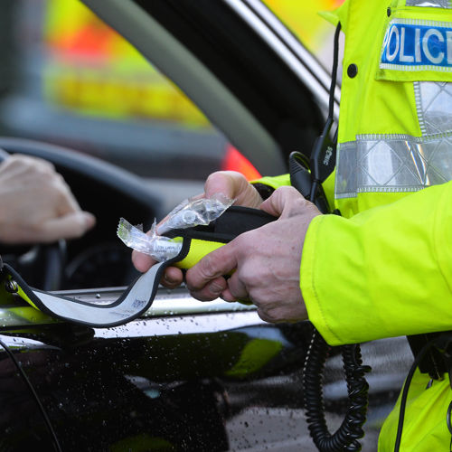 Image for What we do